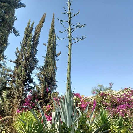 Riad-Villa Agadir-Taroudant Sidi Boumoussa Εξωτερικό φωτογραφία