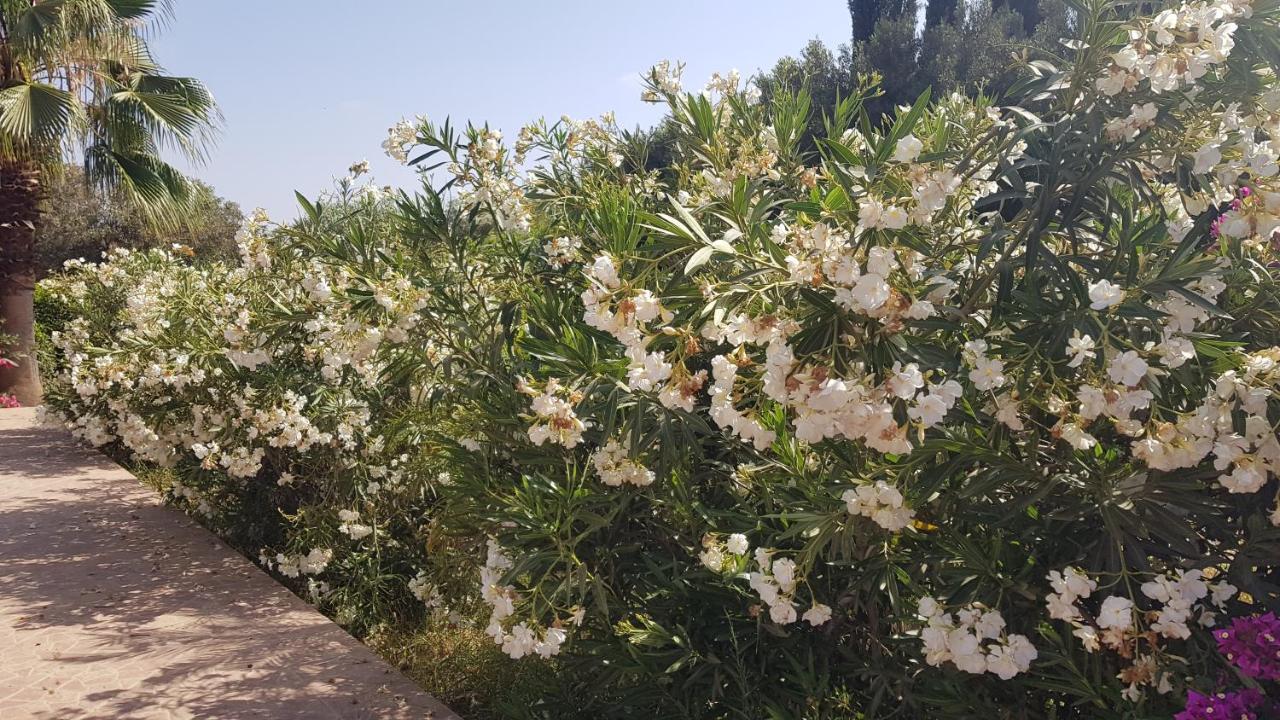 Riad-Villa Agadir-Taroudant Sidi Boumoussa Εξωτερικό φωτογραφία