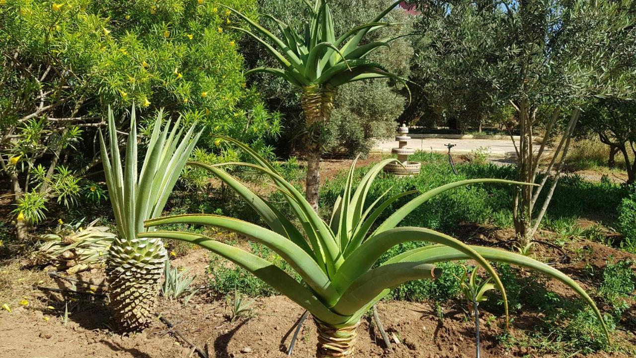 Riad-Villa Agadir-Taroudant Sidi Boumoussa Εξωτερικό φωτογραφία