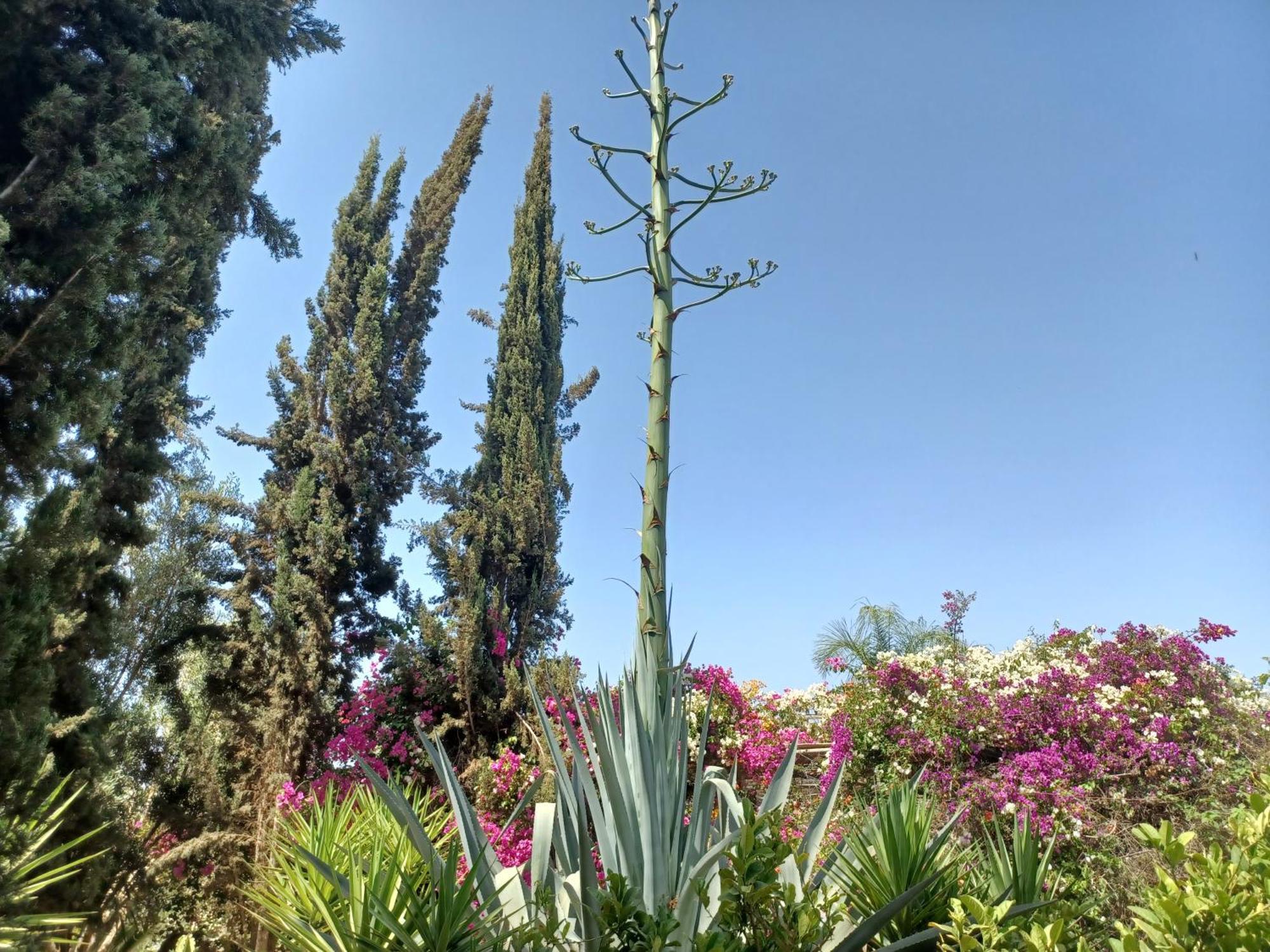 Riad-Villa Agadir-Taroudant Sidi Boumoussa Εξωτερικό φωτογραφία