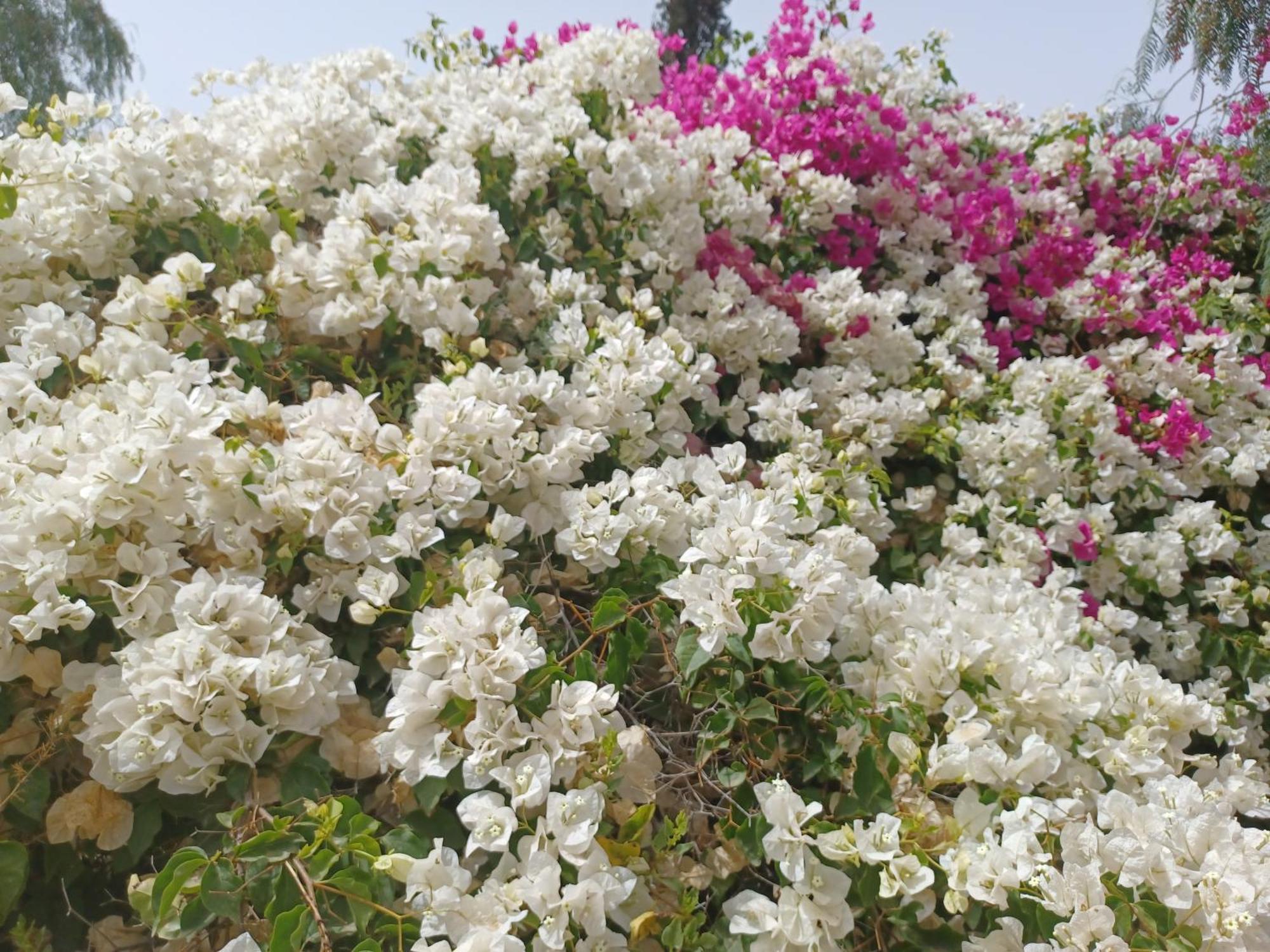Riad-Villa Agadir-Taroudant Sidi Boumoussa Εξωτερικό φωτογραφία