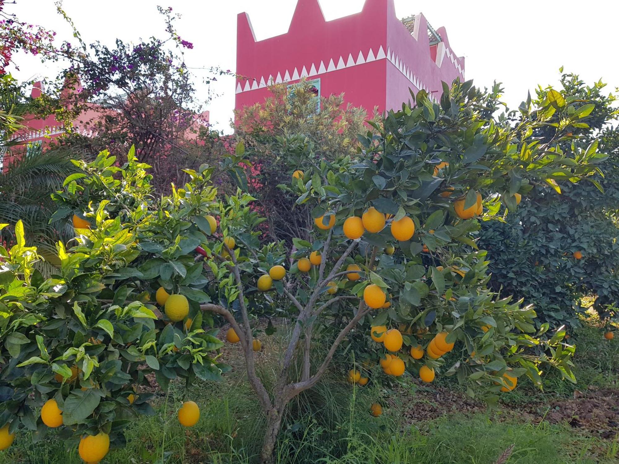 Riad-Villa Agadir-Taroudant Sidi Boumoussa Εξωτερικό φωτογραφία